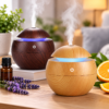 Humidificador Redondo USB - Con Filtro