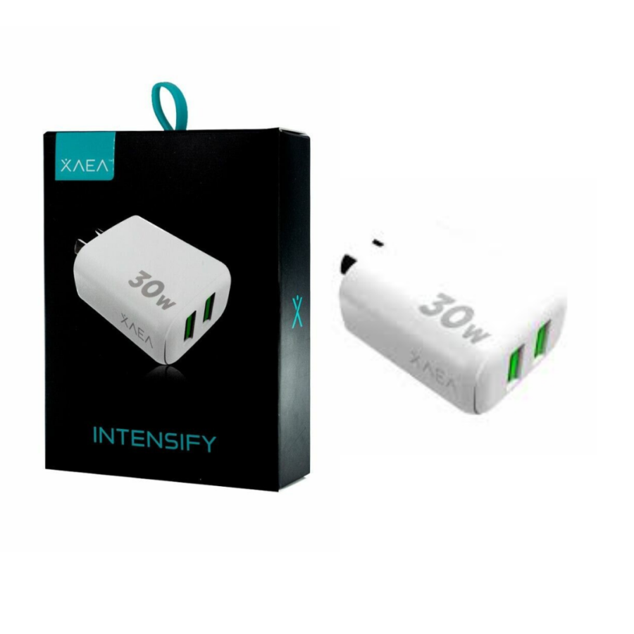 CARGADOR 30W  XAEA